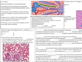 OCR A Biology Communication, Homeostasis and Energy, Module 5 Summary question revision sheets