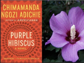 Purple Hibiscus by Chimamanda Ngozie Adichie