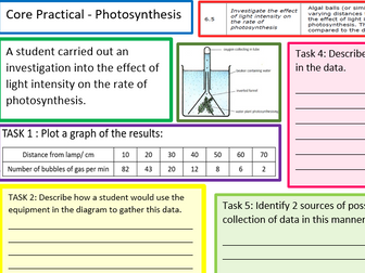 EDEXCEL CB6 CORE PRACTICAL WORK/REVISION SHEET/MAT FOR LIGHT INTENSITY AND PHOTOSYNTHESIS