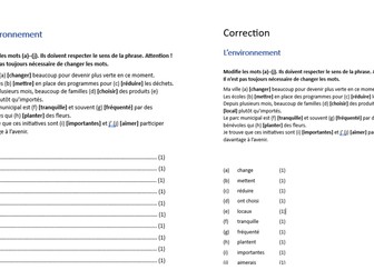 EDEXEL French IGCSE Grammar task Bundle: tenses, adjectival agreements