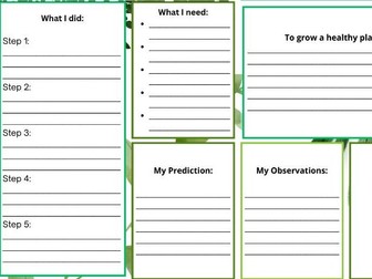 Plant Observations Worksheet