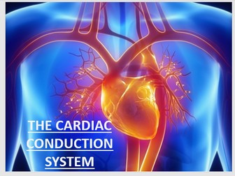 AQA A-Level PE - The Cardiovascular System