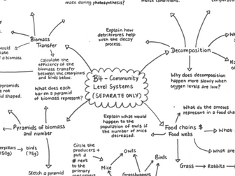 B4 Biology Revision Mindmap
