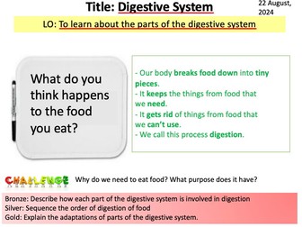 Year 8 Science Biology- Digestive System