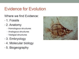 Powerpoint on Evidence of Evolution