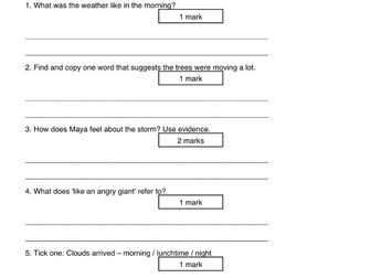 Year 6 Reading Comprehension SATs Style Paper