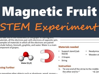 Magnetic Fruit Experiment (Fun Back to School STEM Activity) for KIDS