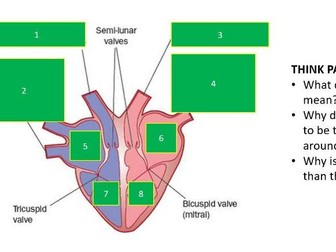 The heart and helping the heart