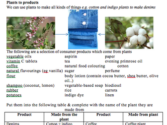 Plants to products