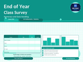 End of Year Class Survey - Maths Statistics - Lower KS2 - Year 3 and Year 4