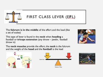 GCSE PE Movement Analysis (Levers, Planes and Axes) Bundle