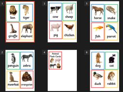 Animal Flash Cards - Toddlers/early learning/EYFS/SEN/Animals/zoo/farm ...