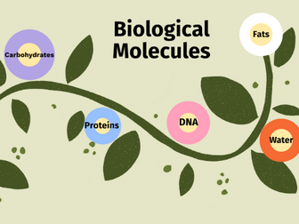 AQA Section 1 - Biological Molecules BUNDLE