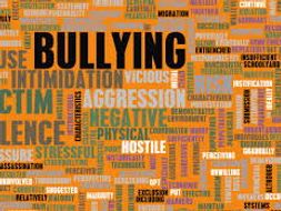 Stop The Bullying (K-12)