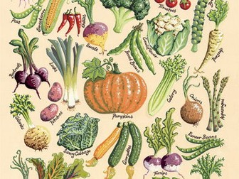 WJEC L1/2 Hosp. & Cat. Open Evening Display Material