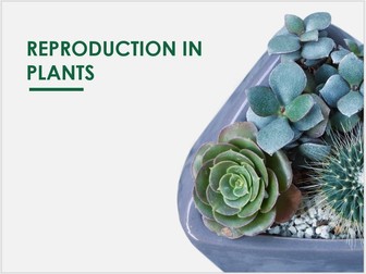 Mod 5 - Asexual Reproduction in Plants