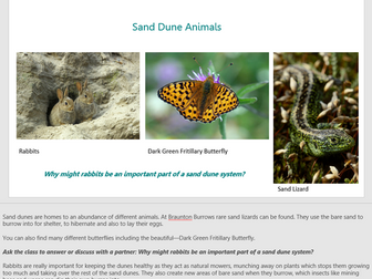 [KS3-4] Sand Dunes - Ecology, Biodiversity, People and Conservation