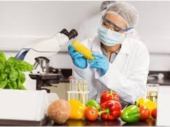 Food Science Quiz