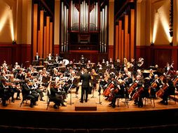 The Development of the Symphony (1750-1900): A Comprehensive Guide