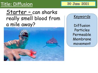 B1.6 Diffusion AQA Biology