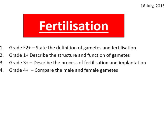 Fertilisation And Implantation | Teaching Resources