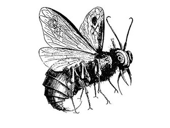 Lord of the Flies by William Golding PPT