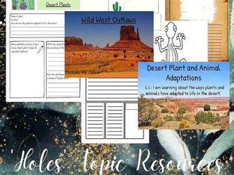 Holes - Class Novel Study /Topic Resources
