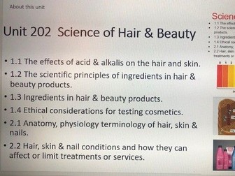 Lesson 1, 2, 3  Hair & Beauty Technical Award C&G Y10