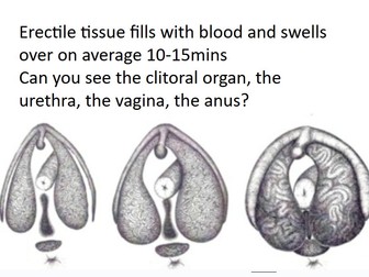 Body awareness, pleasure and communication RSE for KS4 & 5