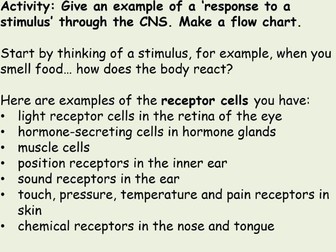 CNS and reflex arc