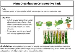 New AQA Plant organisation Collaborative poster task
