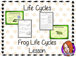 Frog Life Cycles - Complete Science Lesson