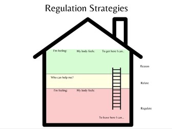 SEL Regulation strategies