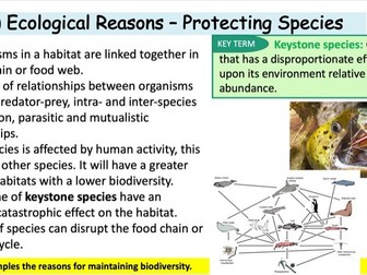 Maintaining Biodiversity OCR A Bio