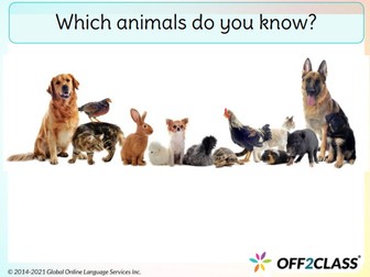 A Free ESL Lesson Plan On Animals And Pets