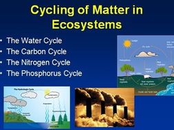 The Water Cycle, The Carbon Cycle, The Nitrogen Cycle, and The Phosphorus Cycle
