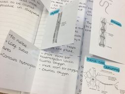B1 AQA 2016 Cell Biology resource bundle