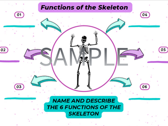 AQA GCSE PE - Functions of the Skeleton worksheet