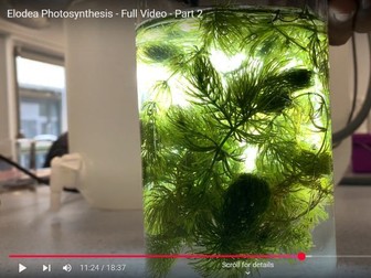 Photosynthesis by Gas Production - Practical