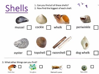 Scottish Seabird Centre - Shell & beachcombing guide sheet
