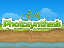 Plants and Photosynthesis