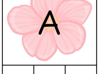 Continuous provision capital letter activity