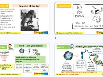DNA and the genome KS3 Science