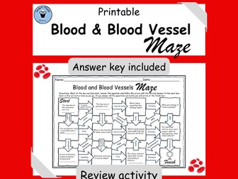 BLOOD AND BLOOD VESSEL REVIEW MAZE WORKSHEET *PRINTABLE*