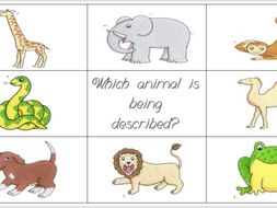 Dear Zoo description bingo | Teaching Resources