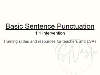 Basic Punctuation 1:1 Intervention