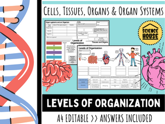 Levels of Organisation Worksheets (Cells, Tissue, Organs and Organ Systems)