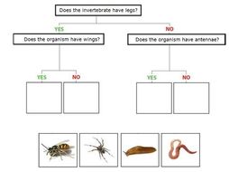 Living things and their habitats -Classification (grouping of ...