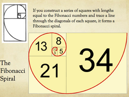 The Fibonacci Sequence