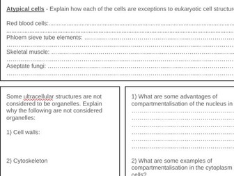A2.2, B2.2 and B2.3 Cells Revision Mat IBDP Biology